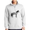 1/4 Zip Sweatshirt Thumbnail